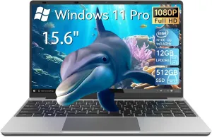 15.6 Inch Laptops, Windows 11 Laptop Computer with 12GB RAM 512GB SSD, Celeron N100 Quad-Core(Up to 3.4GHz), FHD IPS 1920x1080, HDMI, Type-C, USB 3.0, WiFi 6, BT 5.2, TF Card Reader, 6500mAh