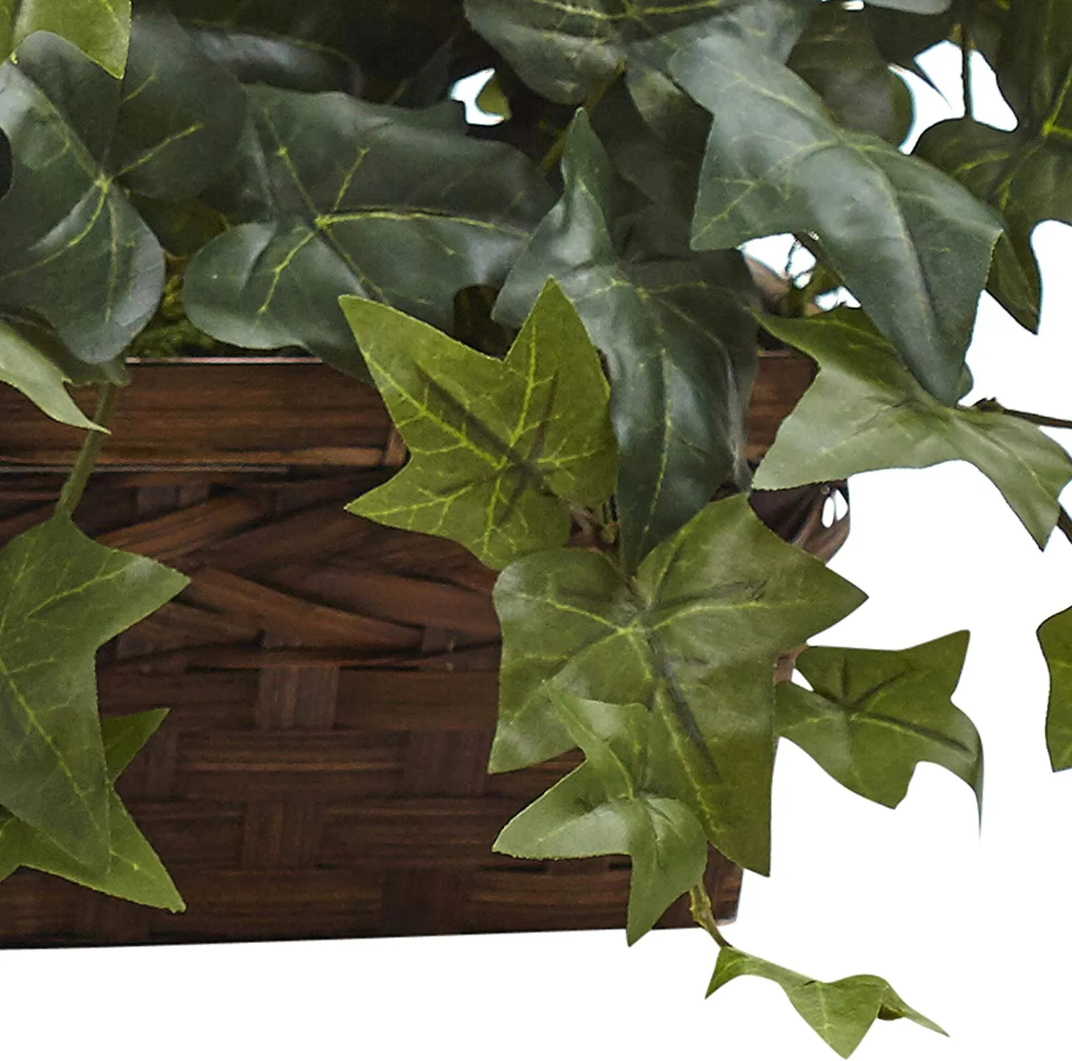 4K UHD P2P WiFi Fake Plant Security Camera
