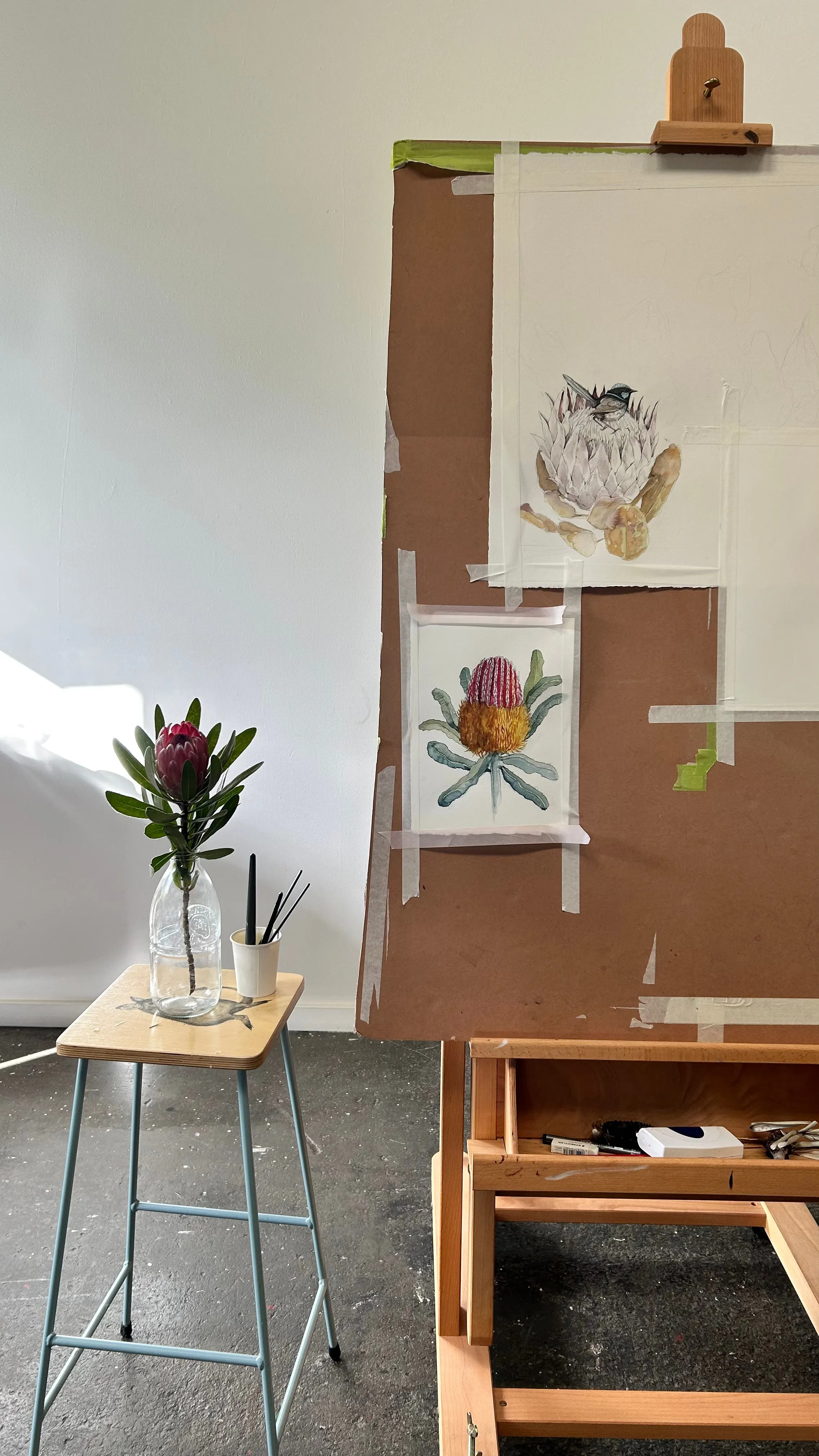 BOTANICAL DRAWING WORKSHOP: SEPTEMBER 13