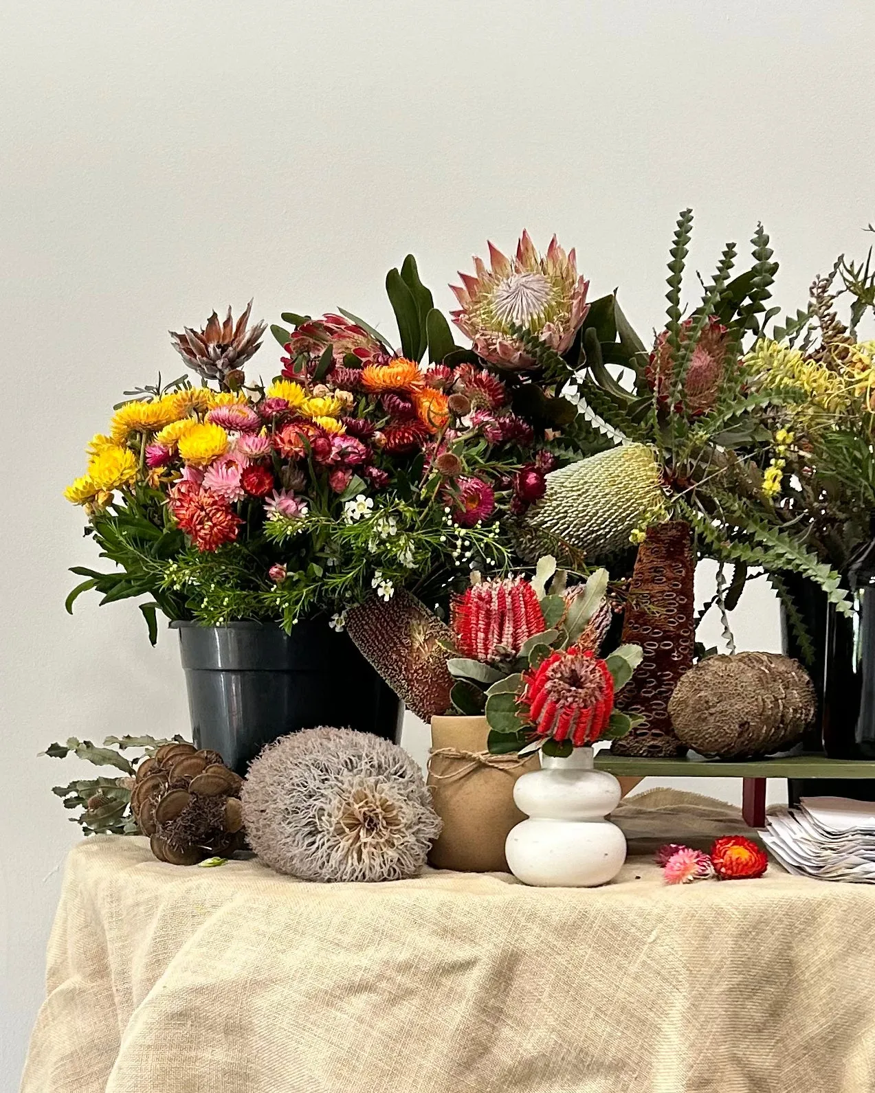 BOTANICAL DRAWING WORKSHOP: SEPTEMBER 13