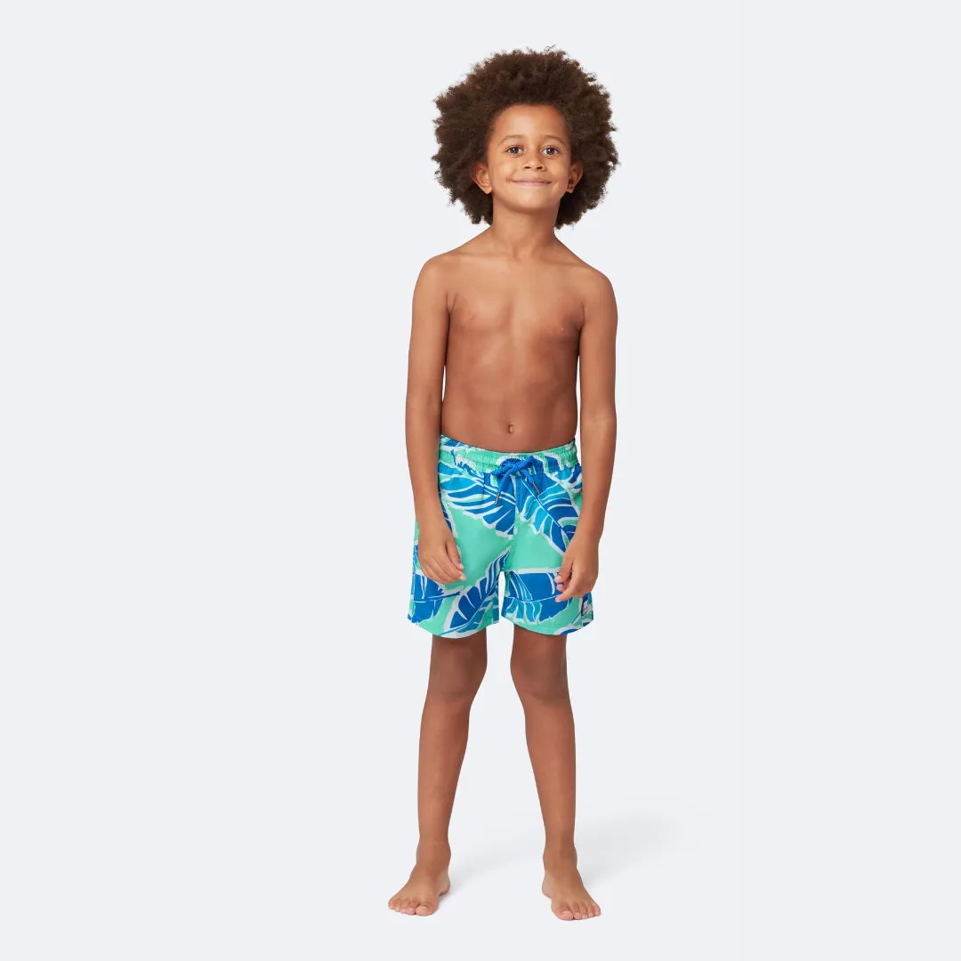 Green & Blue Banana Leaf Set