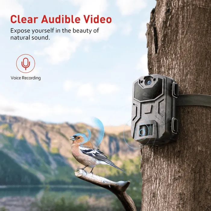 Trail Wildlife Deer Hunting Game Security Camera
