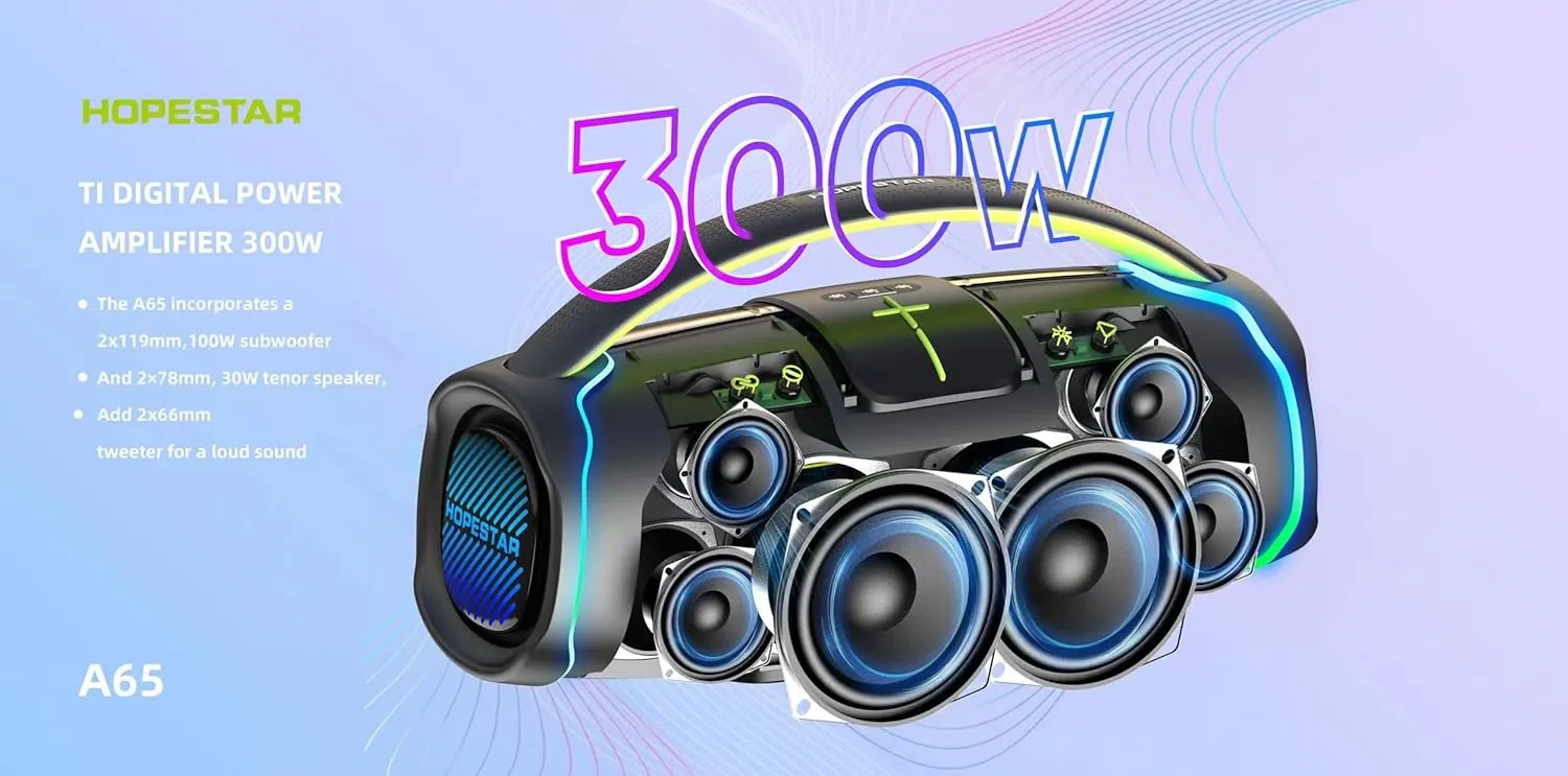 WorryFree Gadgets 300W Portable Speaker Wireless Bluetooth Audio Big Bass with Handle, Microphone, Hopestar Series (Black)